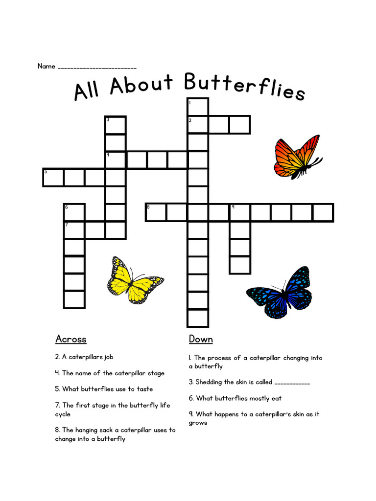 Life Cycle of a Butterfly Crossword Puzzle PDF Butterfly Insects