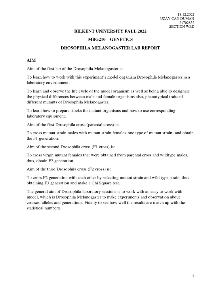 DROSOPHILA REPORT PDF