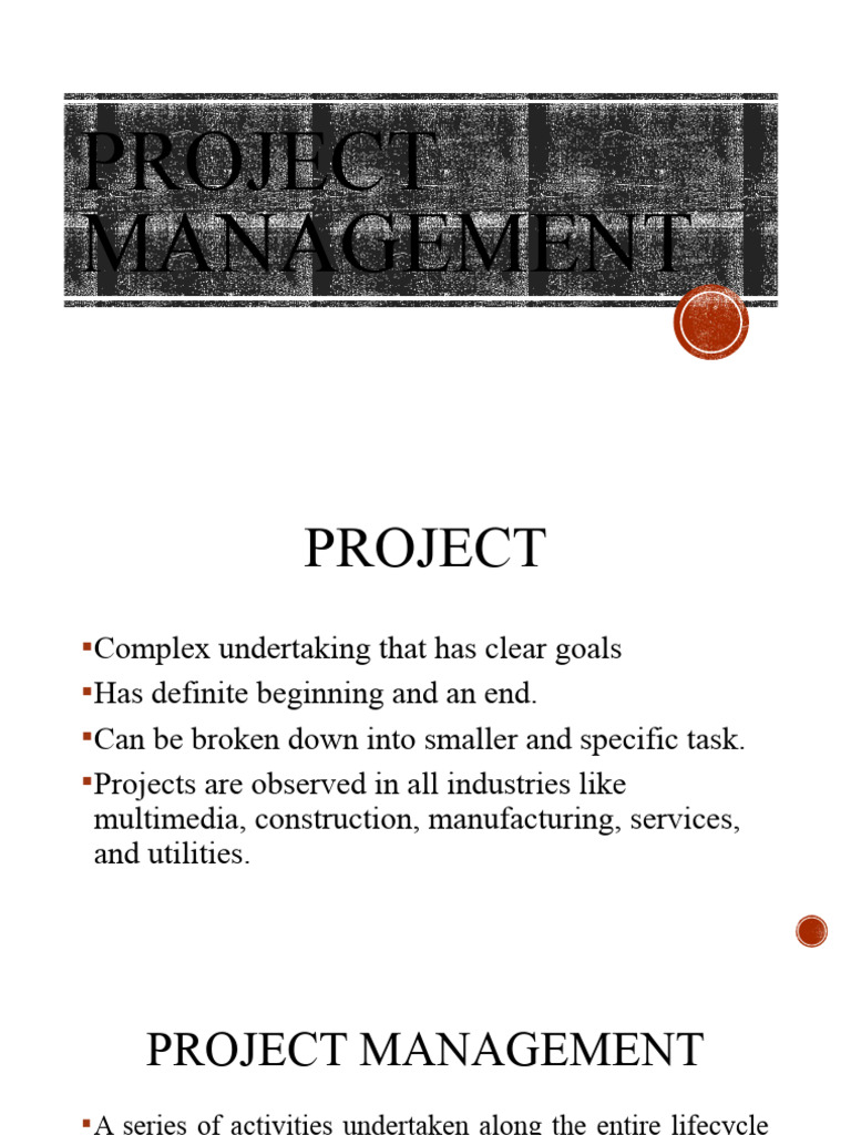Project Management | PDF