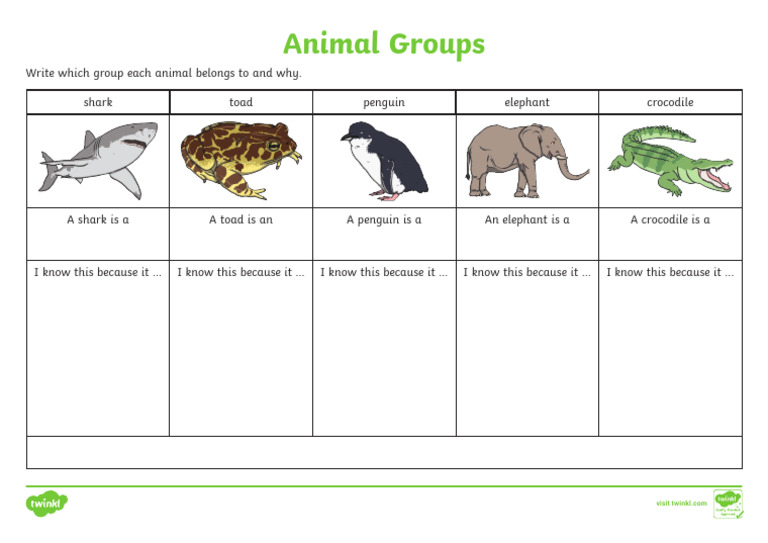 Animal Classification Guide | PDF