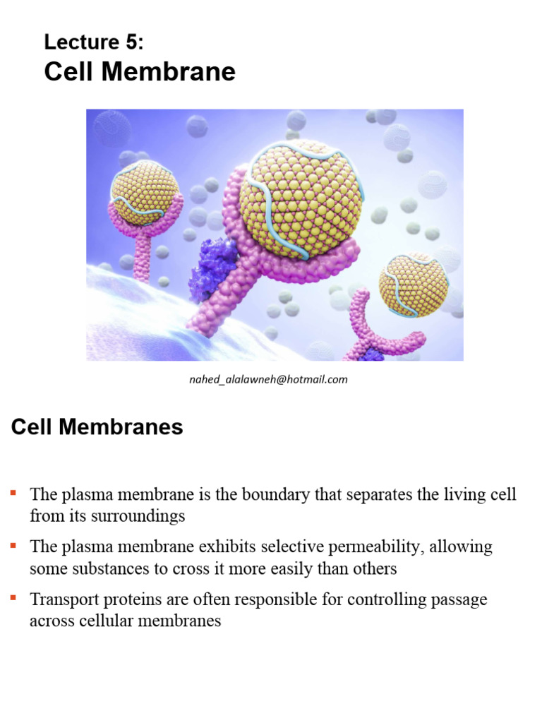 Lecture 5 Cell Membrane | PDF