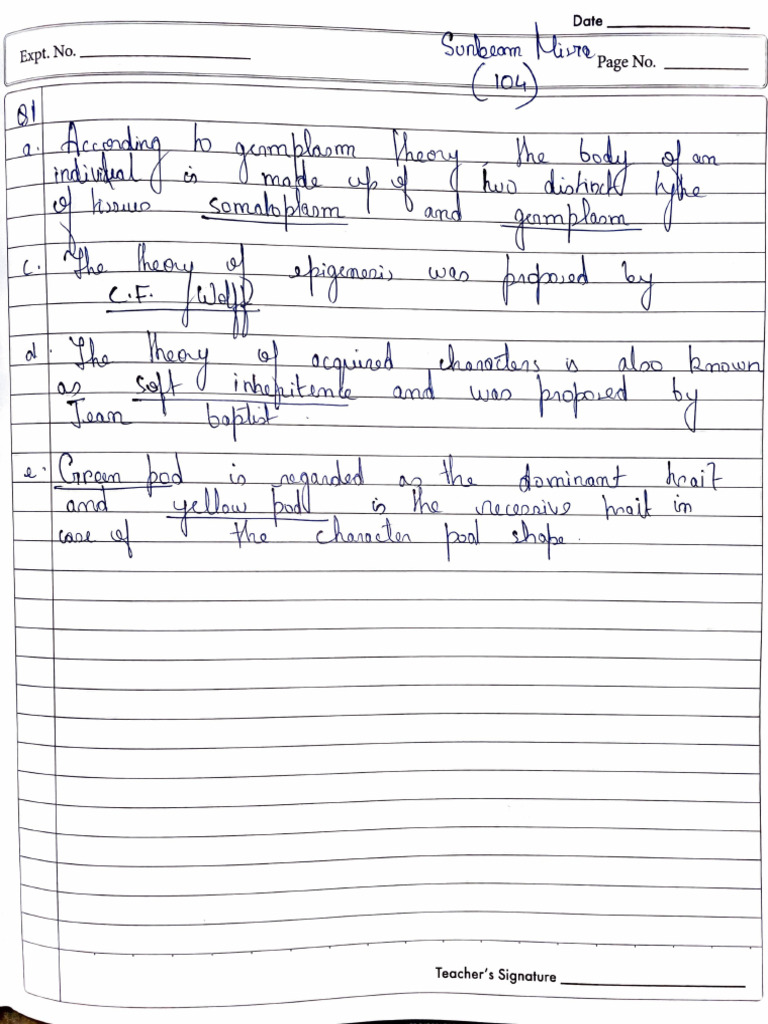 Test GPB Sunbeam | PDF