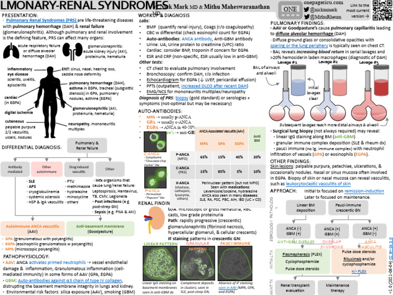 Icu one pager pulmonar renal syndrome jbxqoj pdf lung medical