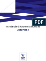 Guia de Estudos Da Unidade 1 - Anatomia Humana