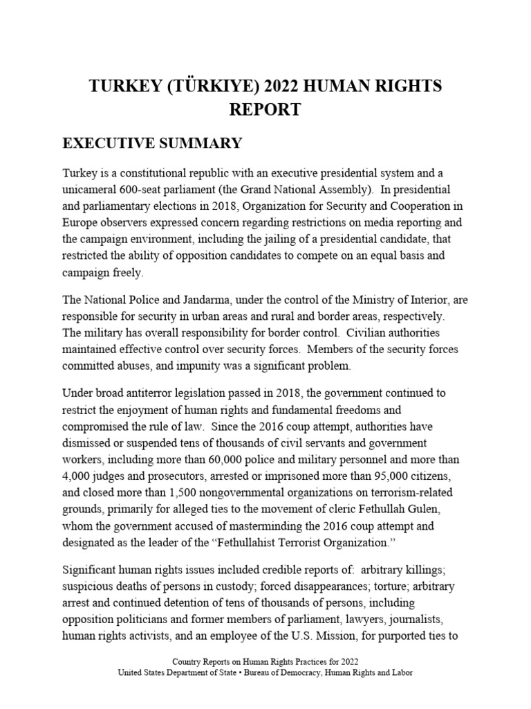 Türkiye 2022 Human Rights Report | PDF | Detention (Imprisonment) | Prison