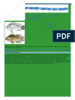 FAO-Oreochromisniloticus 1659967564459