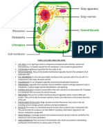 Plant Cells Part and Functions