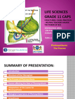 PP14 Photosynthesis The Process