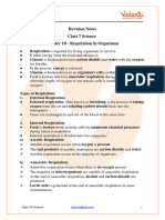 Respiration in Organisms Science