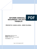 Informe 1 Semanal de Seguridad