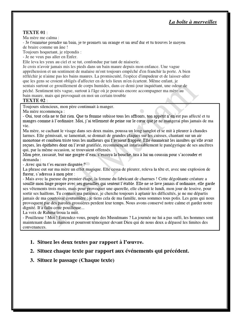 La Boîte à Merveilles Situation D Passage Pdf