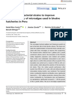 Evaluation of Bacterial Strains To Improve The Productivity of Microalgae Used in Bivalve Hatcheries in Peru