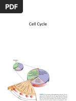 Cell Cycle