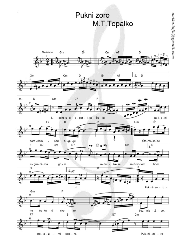 Pukni zoro pdf
