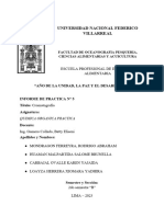 Informe Química Organica N°5