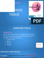 4 Lymphoid Tissue