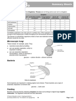 8D-Unicellular-organisms - Summary Sheet