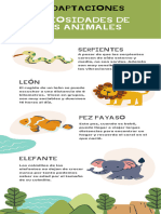 Infografía Animales Ilustración Verde