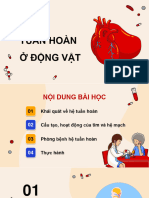 BÀI 8. Tuan - Hoan - o - Dong - Vat