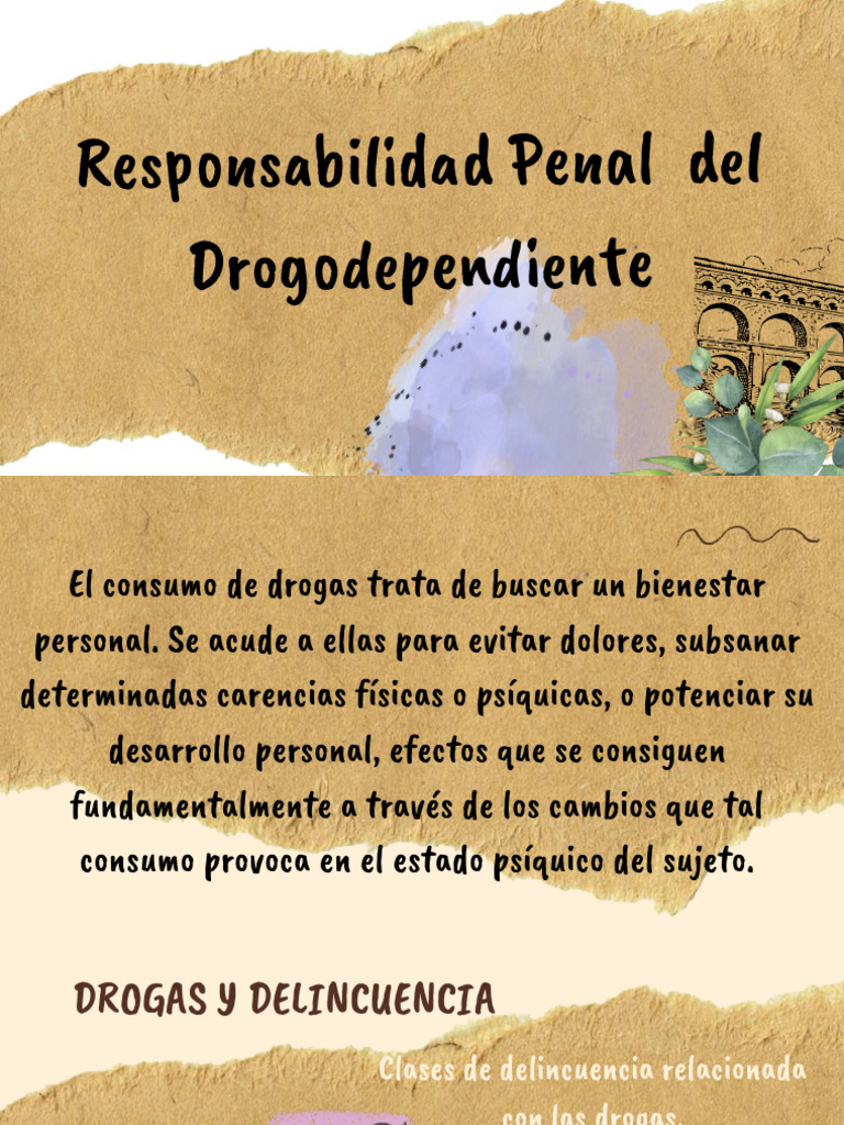 peritaje-pdf-estilo-de-vida