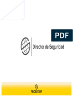 Director de Seguridad