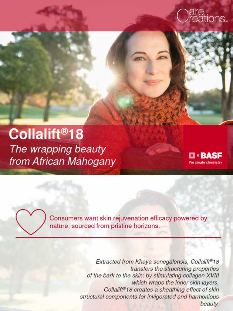 Collalift 18 customerversion 19032017 us approved pdf