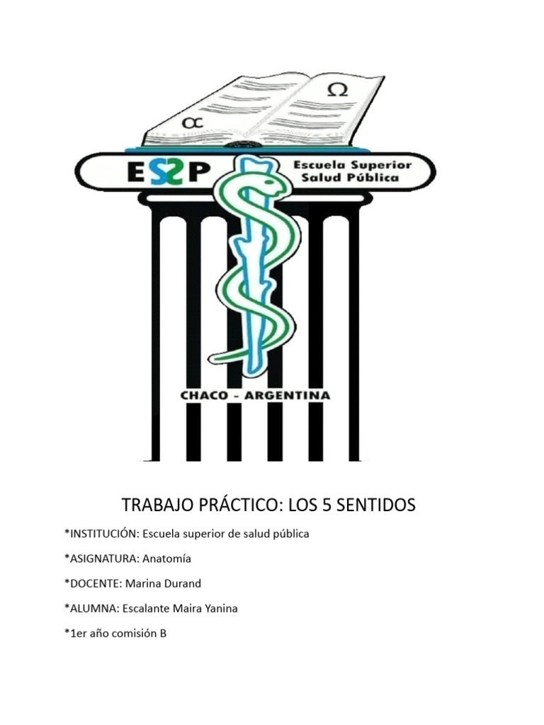 Los 5 Sentidos Anatomia Pdf
