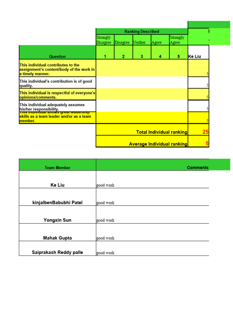 Team Member Performance Rankings | PDF