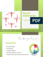 Embriyoloji 7
