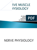 Nerve Muscle Physiology