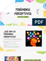 Fenómenos Perceptivos - 20231227 - 115154 - 0000