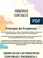 Principio de Prudencia