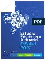 Resumen Grafico Estudio Financiero Actuarial 2022 EsSalud OIT-mie13dic2023 (D1)