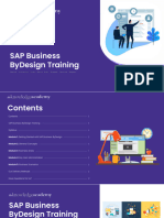 SAP Business ByDesign Training
