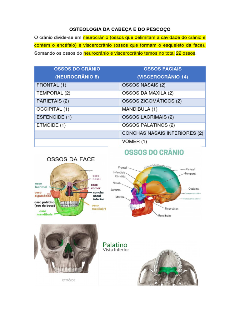 Osteologia Da Cabeça E Do Pescoço Pdf Anatomia Sistema Esquelético