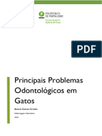 Principais Problemas Odonto em Felinos