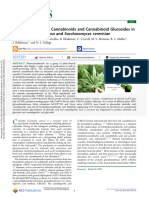 Synthetic Biology of Cannabinoids and Cannabinoid Glucosides in Nicotiana Bethamiana Anda Scerevisiae