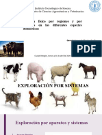 Examen Físico Por Regiones y Por Sistemas en Las Diferentes Especies Domesticas