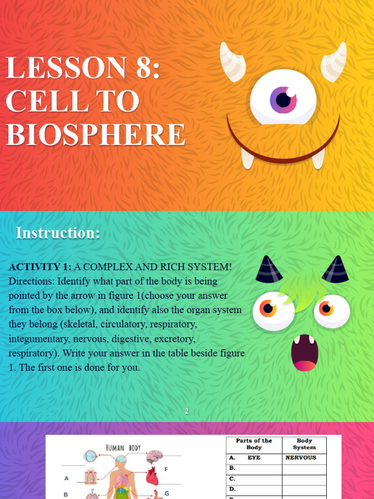 Grade 7 Lesson 9 | PDF
