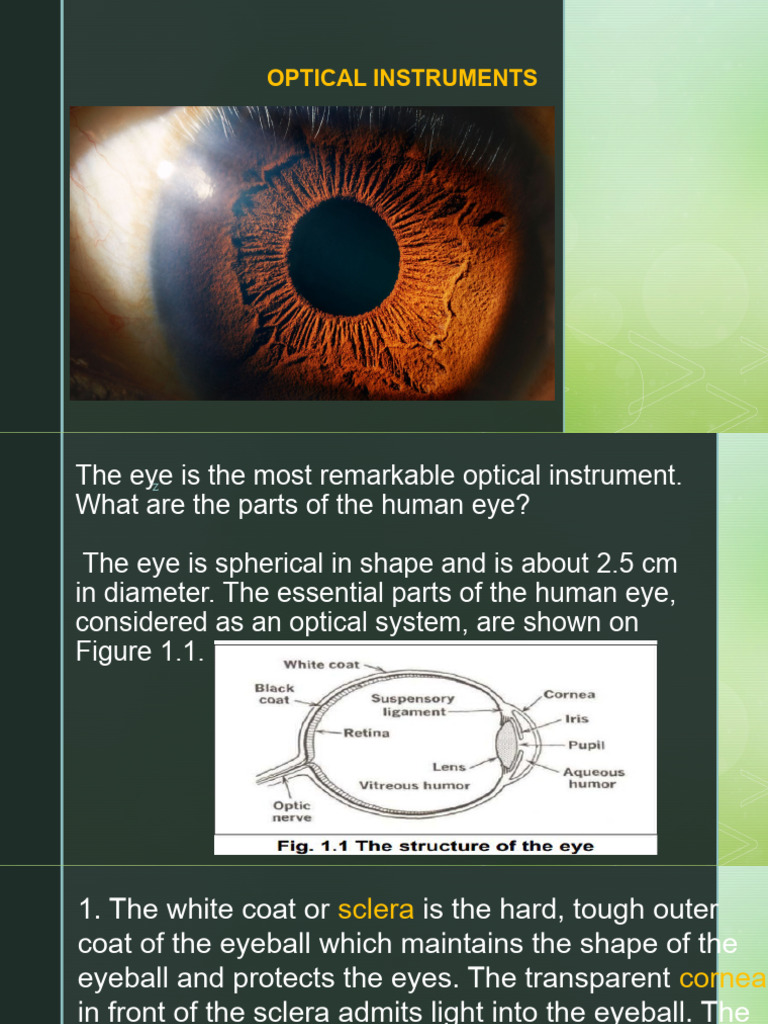 Human Eye: An Optical Instrument | PDF | Camera | Human Eye