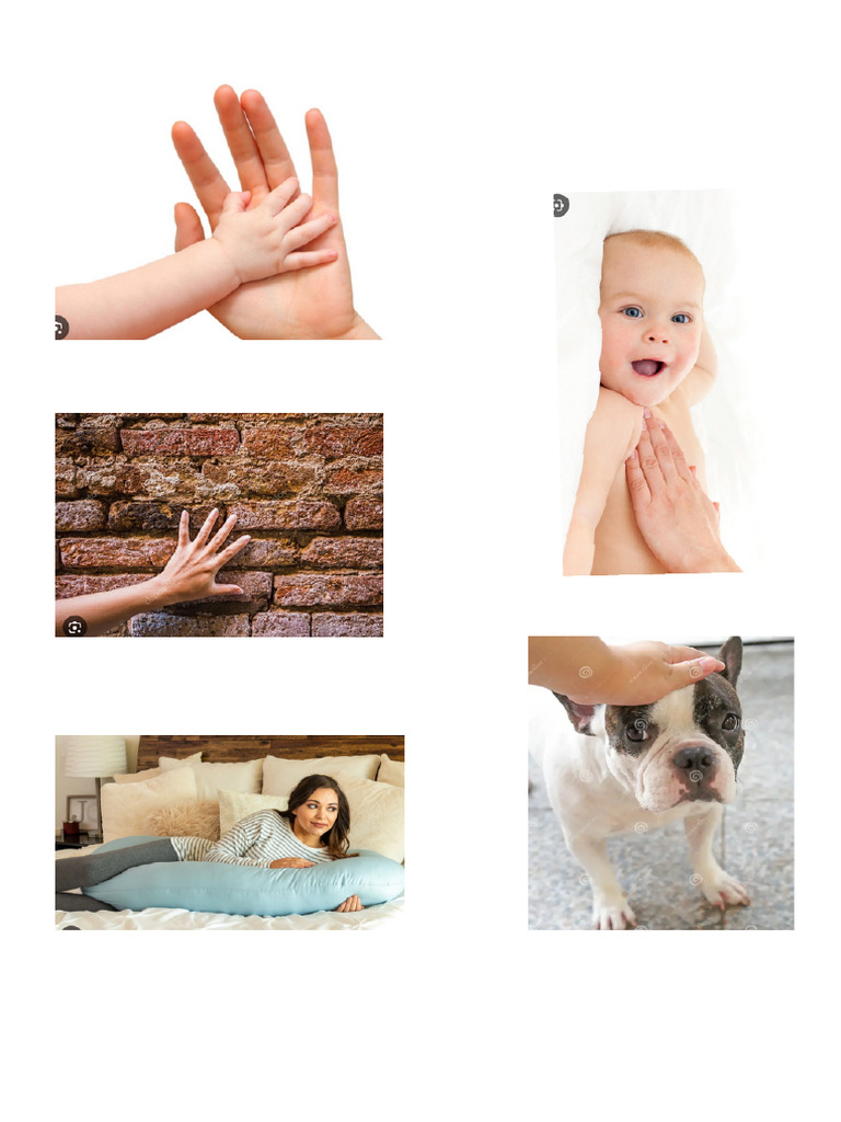 5 Senses Drawing Worksheets Grade 3 Pdf