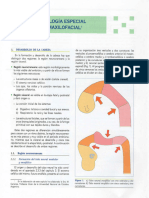 Cap 5 - Desarrollo Cabeza Pag 80 - 90