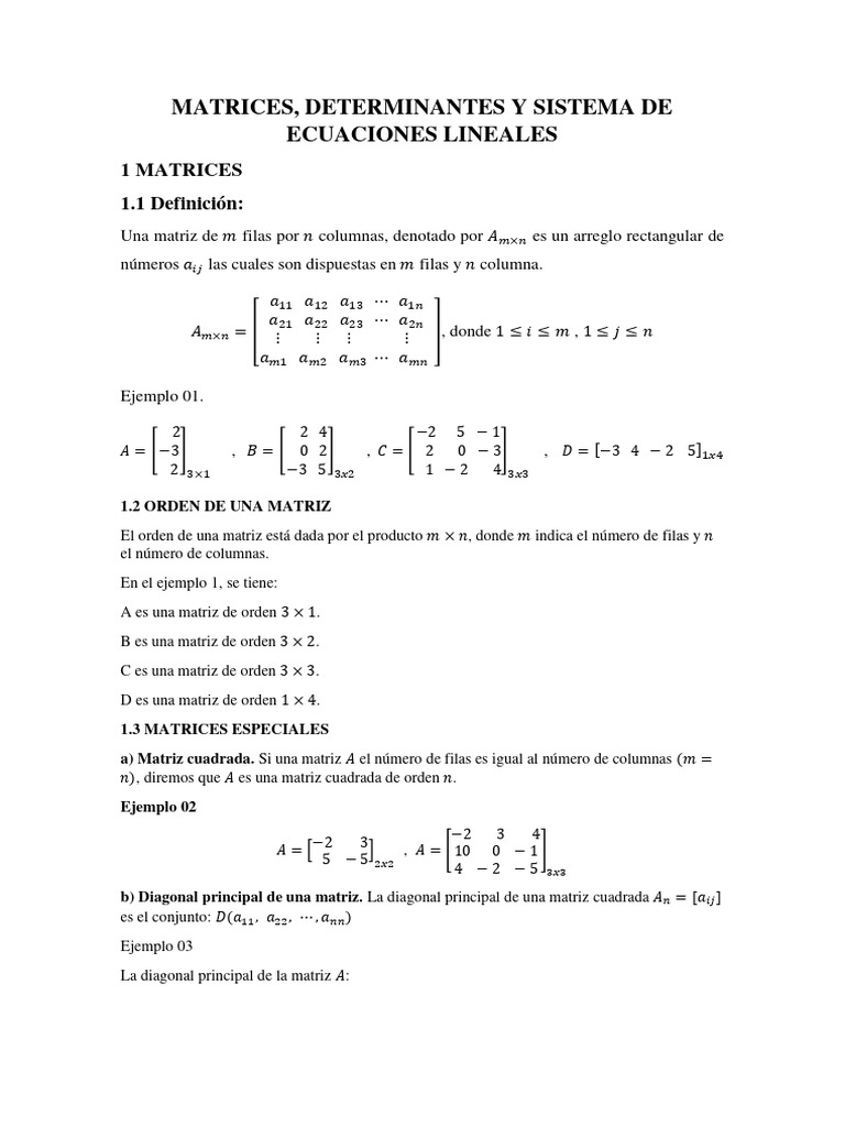 Matrices y Determinantes Esenciales | PDF | Métodos y materiales de ...