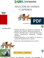 Producción de Ovinos Y Caprinos: Ing. Mayra Carolina Márquez López