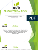 CV Grupo Efru