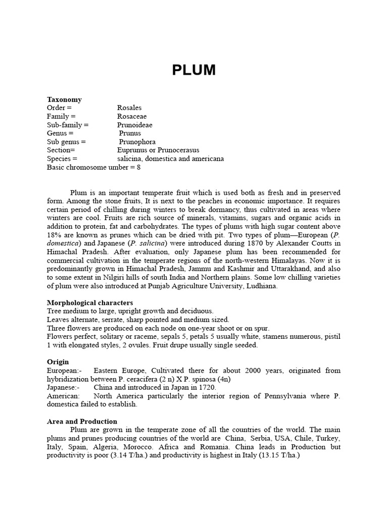Plum | PDF
