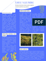 Poster Científico Académico Algas y Plantas Marinas Dibujo Vector Azul y Blando