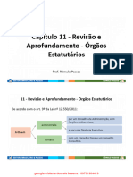 Capítulo 11 - Revisão e Aprofundamento - Órgãos Estatutários