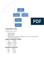 Urine Analysis