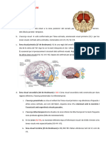 Neurociència Cognitiva Tema 4